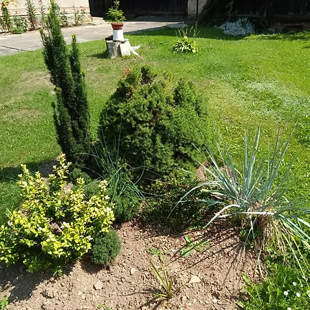 Pod Suchym Vrchem - Dolni Morava - Bukova Hora - Appartement *